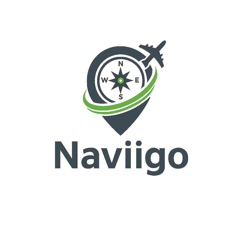 NaviiGo Logo